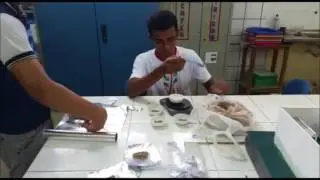 Ensino de matem&aacute;tica Edson Corr&ecirc;a1