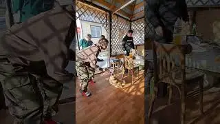 Потанцуем? Мадлен с хореографом учат танец. #собака #dog #топ #приколы
