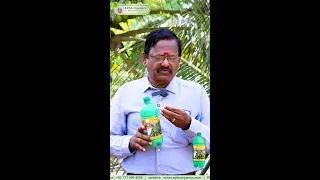 [ ENGLISH ] Coimbatore Coconut Farmer Mr. Soundararajan Shares His Amazing Results!