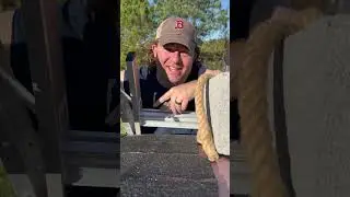 The Most Simple Roof Repair (EVER)