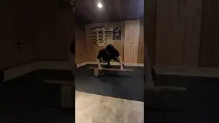 The 