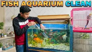 Fish Aquarium Clean At My Mini Zoo 🐟 || Fish Aquarium Cleaning Process