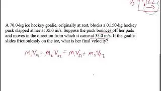 Momentum Conservation Sample Problems