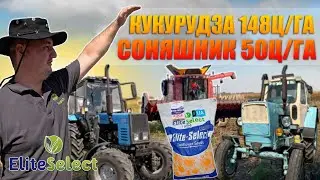 ❗️ ПРИВЕЗЛИ ❗️НАСІННЯ СОНЯШНИКА👍 БУДЕ СИПАТИ 
