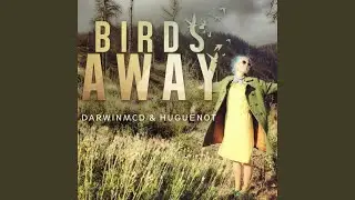 Birds Away
