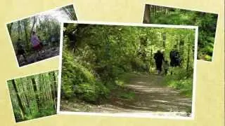 Cougar Mountain Regional Wildland Park