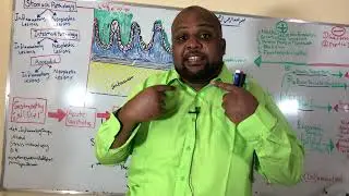 Complications of chronic gastritis مضاعفات التهاب المعدة المزمن