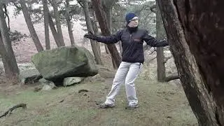 Feel The Benefits &ndash; Forest Bathing and Tai Chi