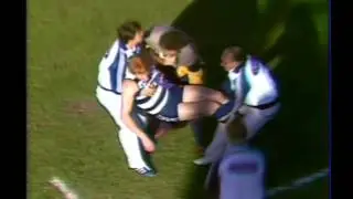 Fight Geelong vs Carlton at Kardinia Park 1984 Round 13