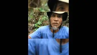 Asal-usul Menua Sungai Utik di tusi Apai Gajah #sungaiutik #iban #kalimantan