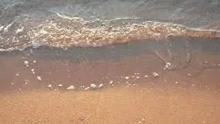 Golden sandy shoreline and waves, aerial slow motion | Free stock footage