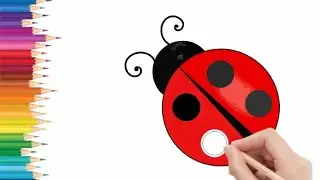 How to Draw Duck, Crow and Ladybird Easy Step by Step | Drawing for Beginners, girls and boy | Kidko
