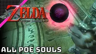 All 60 Poe Souls | The Legend of Zelda: Twilight Princess HD
