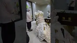 亚庇龙麒狮界各位师傅齐心以孝狮送别‘’亚庇财神爷‘’李春平老师傅 #孝狮 #舞狮文化 #liondance 