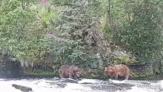 Katmai NP: 856 pranks 602 (with a bonus dominance cha-cha), 07.30.25 falls cam on Explore.org