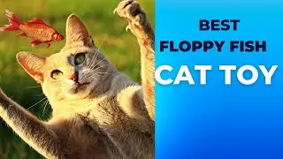 floppy fish cat toy  Floppy Fish Animal Toy for Small Dogs Wiggle Fish Catnip Toys Motion Kitten Toy