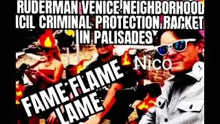 NICO RUDERMAN VENICE NEIGHBORHOOD COUNCIL 