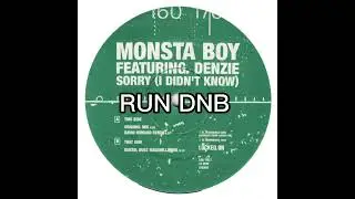 Monsta Boy - Sorry(I didn't know) (R3dX remix)