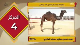 نتائج شوط مفاريد شرايا لابناء القبائل 1مجاهيم اليوم الثانى من #مزاينة رزين بـ #مهرجان الظفرة 16