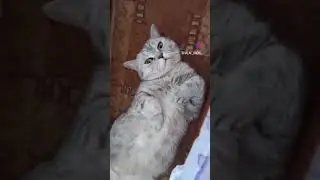 10 февраля 2023 г.
