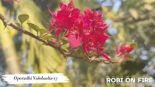 অপরাধী ভালোবাসা গল্প (Part-17) Oporadhi Valobasha। Robi On Fire