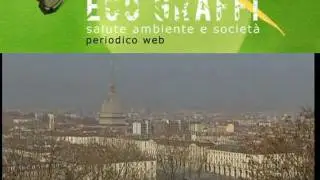 ECOGRAFFI 2012