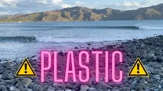 Plastic Paradise
