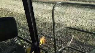 2017 Combining Canola 2x New Holland CR960