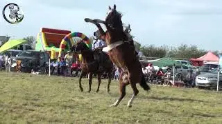 Impresionante monta con giros colgada y caida Campo El Viejo Talingo Julio 2022  Raices Este (E. R.)