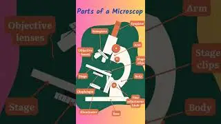 #microscope #shortsfeed #science #biology #shorts #short