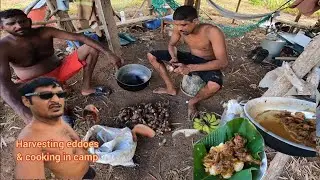 Cooking with shaggy & scooby by the garden camp / best doubles in princess town .