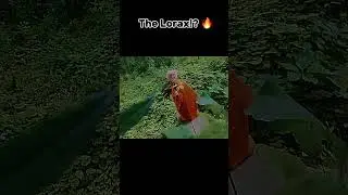 Lorax In The Woods Edit || Lil Tecca Ransom Edit ||