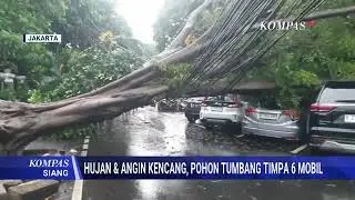 Detik-Detik Puting Beliung Terjang Jakarta, Pohon Tumbang hingga Mobil Rusak Parah