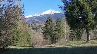 Pietrosu montain view