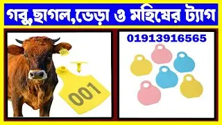 cow tag | Goat Tag | Sheep Tag | cattle tag | Tag price BD | Agriculture Bangladesh