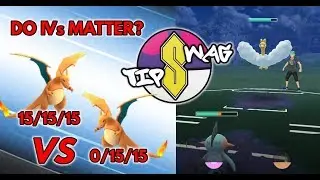Do IVs matter in PvP? | Pokemon GO