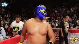 BOOM &Aacute;ngel Kid, Nubilus y Mr  Koi vs Titanium, Robocan y Mechanican