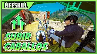 COMO SUBIR CABALLOS - BUFFS - EQUIPO - CRUCES - CARRETAS - BLACK DESERT 2024