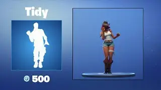 Tidy | Fortnite Emote