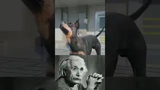 &ldquo;Why Are Police Dogs&rsquo; Ears and Tails Docked?&rdquo; #viral #reels #dog #animation #police #policedogs