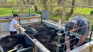 Final Preparation of Raised Garden Beds // Top Dressing with Purple Cow Compost // Bog Life