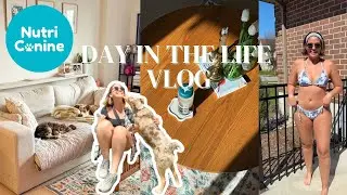 day in the life vlog | NutriCanine dog food review, morning routine, content day