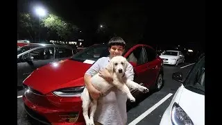 Day 463 Tesla Ruby Car Show and Sapphire Update
