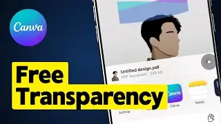 Как бесплатно сделать прозрачный фон на Canva