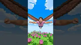 Minecraft Math: Elytra Edition | Dream vs. Reality 🤔