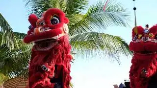 COCO BEACH FEST 2022| Coco Beachcamp Lagi