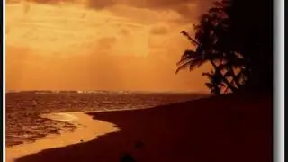 Doron David - Wide Golden Shore