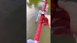 New equipment for bottom fishing for grass carp in black pits Anglers