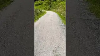 A &ldquo;Poor Man Asphalt?&rdquo; Crusher Run Stone Makes A Smooth driveway. #drivewayrepair #graveldriveway