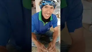 QnA Operator Packing Semen